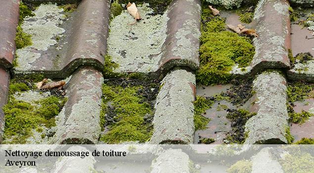 Nettoyage demoussage de toiture 12 Aveyron  ACE Couverture 