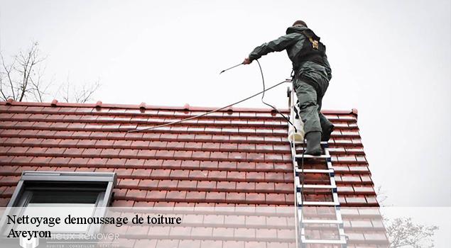 Nettoyage demoussage de toiture 12 Aveyron  ACE Couverture 