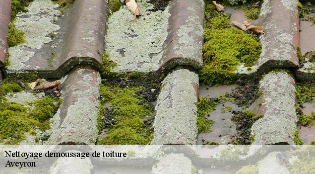 Nettoyage demoussage de toiture 12 Aveyron  John Toiture Couvreur 12