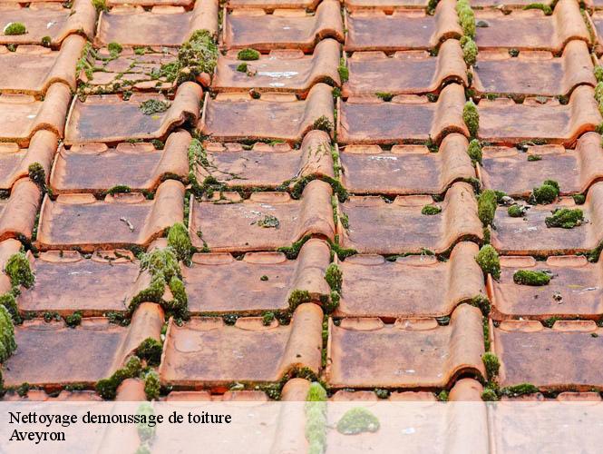 Nettoyage demoussage de toiture 12 Aveyron  WS couverture
