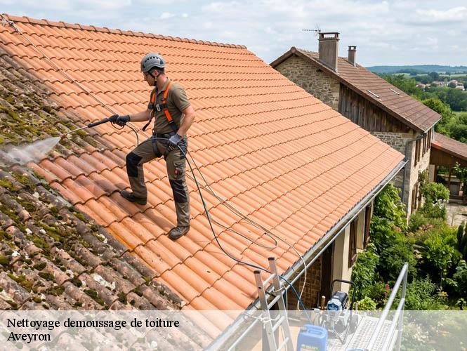 Nettoyage demoussage de toiture 12 Aveyron  WS couverture