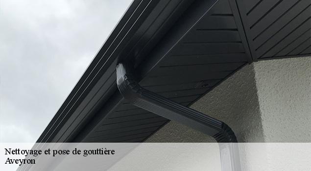 Nettoyage et pose de gouttière 12 Aveyron  ACE Couverture 