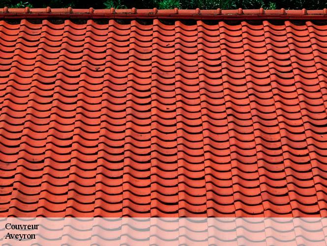 Couvreur 12 Aveyron  WS couverture