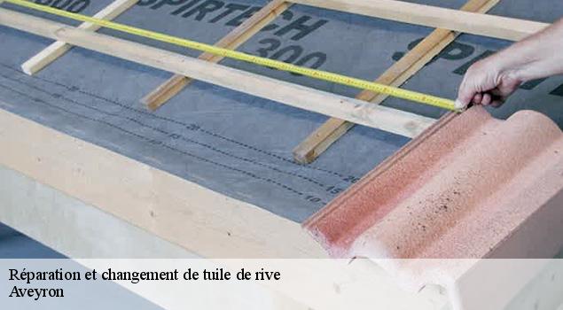 Réparation et changement de tuile de rive  12 Aveyron  ACE Couverture 