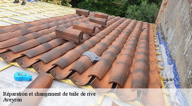 Réparation et changement de tuile de rive  12 Aveyron  ACE Couverture 