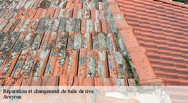 Réparation et changement de tuile de rive  12 Aveyron  ACE Couverture 