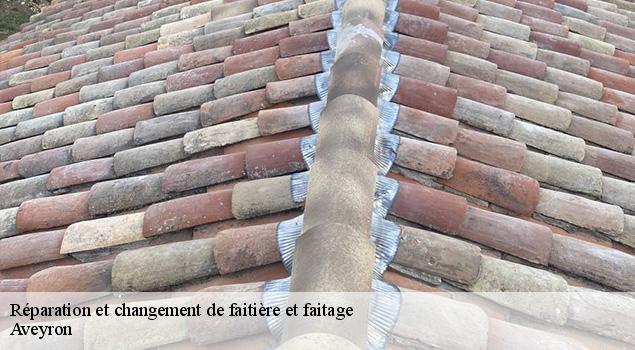 Réparation et changement de faitière et faitage 12 Aveyron ACE Couverture