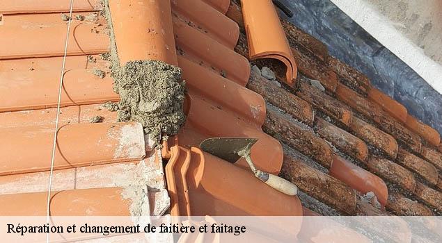 Réparation et changement de faitière et faitage 12 Aveyron  John Toiture Couvreur 12