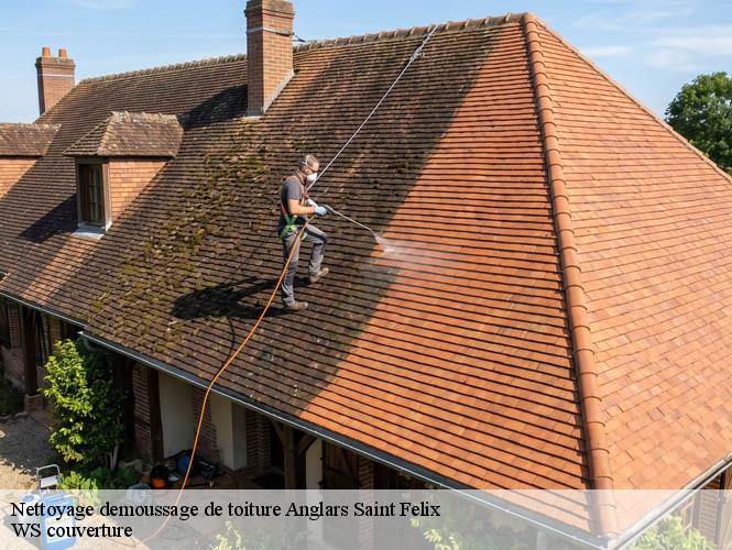 Nettoyage demoussage de toiture  anglars-saint-felix-12390 WS couverture