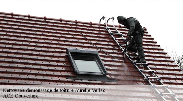 Nettoyage demoussage de toiture  aurelle-verlac-12130 ACE Couverture 