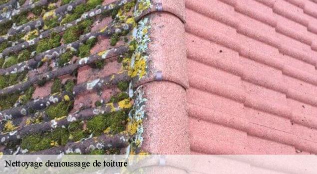 Nettoyage demoussage de toiture  auzits-12390 John Toiture Couvreur 12