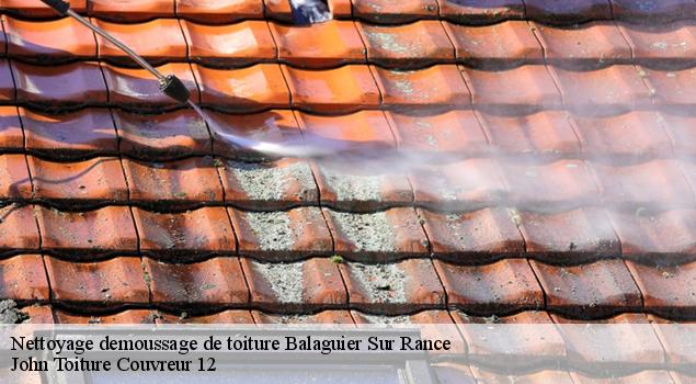 Nettoyage demoussage de toiture  balaguier-sur-rance-12380 John Toiture Couvreur 12