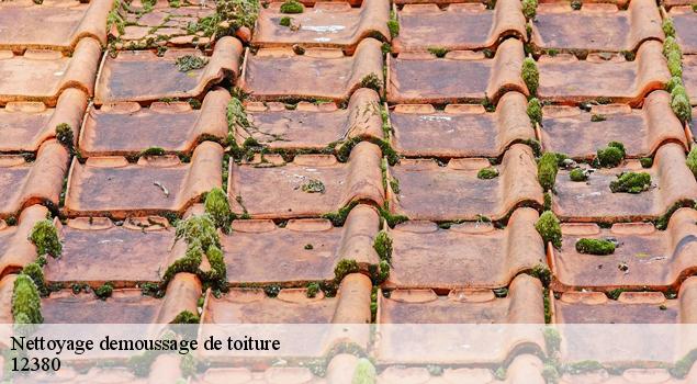 Nettoyage demoussage de toiture  balaguier-sur-rance-12380 John Toiture Couvreur 12