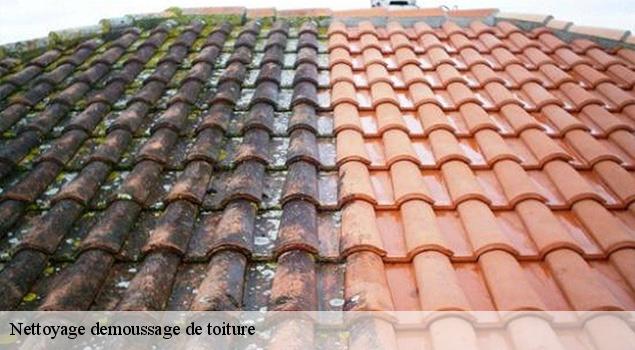 Nettoyage demoussage de toiture  belmont-sur-rance-12370 ACE Couverture 