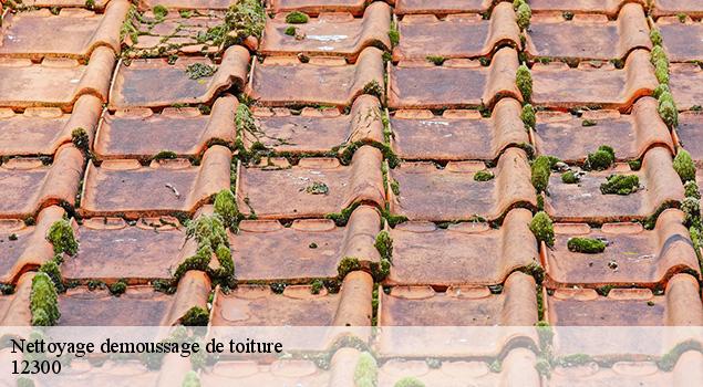 Nettoyage demoussage de toiture boisse-penchot-12300 ACE Couverture