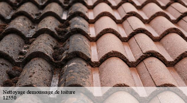 Nettoyage demoussage de toiture  brasc-12550 John Toiture Couvreur 12