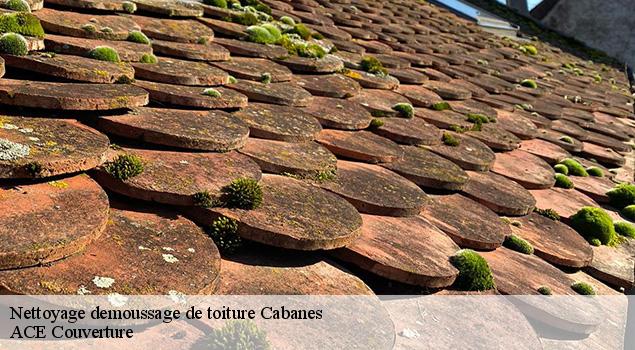 Nettoyage demoussage de toiture  cabanes-12800 ACE Couverture 