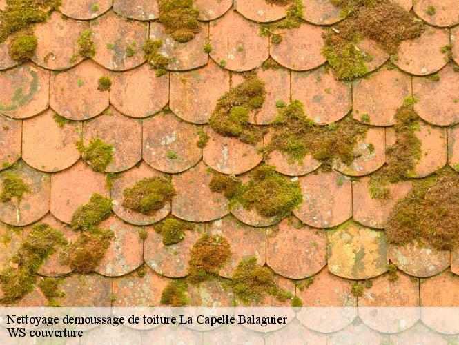 Nettoyage demoussage de toiture  la-capelle-balaguier-12260 WS couverture