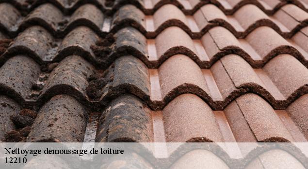 Nettoyage demoussage de toiture  cassuejouls-12210 John Toiture Couvreur 12