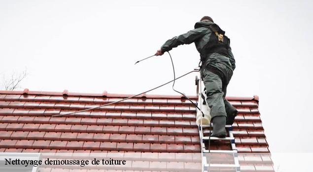 Nettoyage demoussage de toiture  cassuejouls-12210 John Toiture Couvreur 12