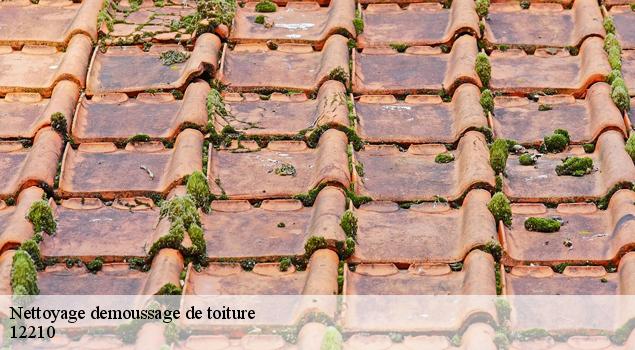 Nettoyage demoussage de toiture  cassuejouls-12210 John Toiture Couvreur 12