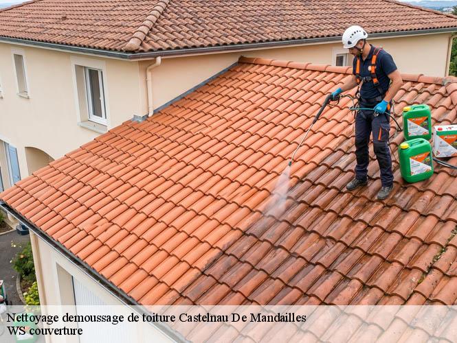 Nettoyage demoussage de toiture  castelnau-de-mandailles-12500 WS couverture