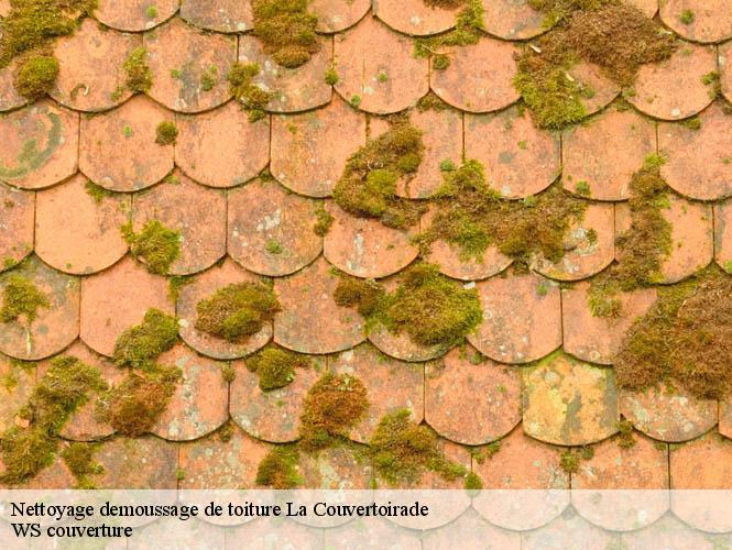 Nettoyage demoussage de toiture  la-couvertoirade-12230 WS couverture