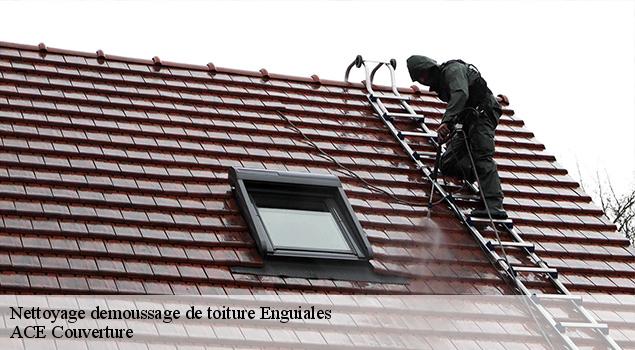 Nettoyage demoussage de toiture  enguiales-12140 ACE Couverture 