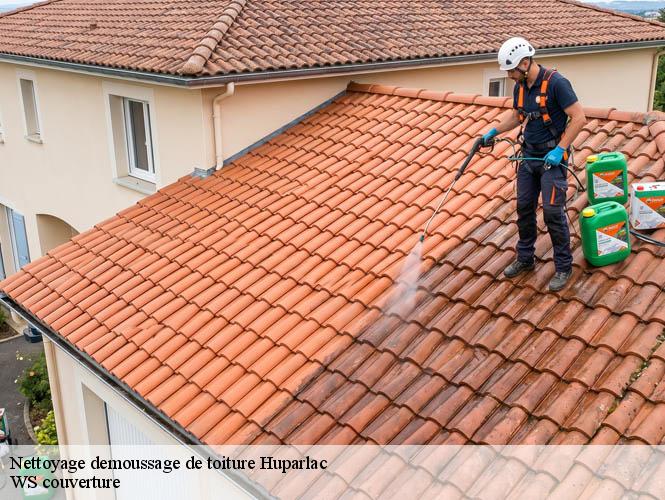 Nettoyage demoussage de toiture  huparlac-12460 WS couverture