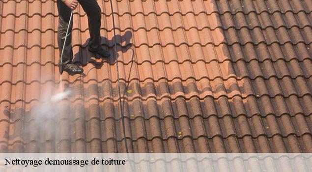 Nettoyage demoussage de toiture  lassouts-12500 ACE Couverture 