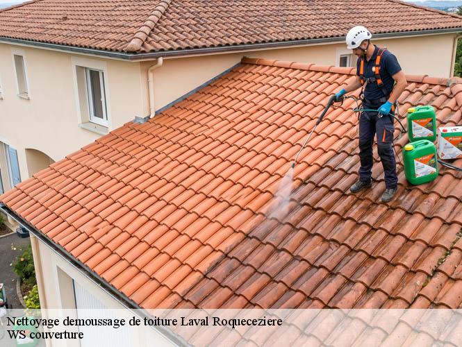Nettoyage demoussage de toiture  laval-roqueceziere-12380 WS couverture