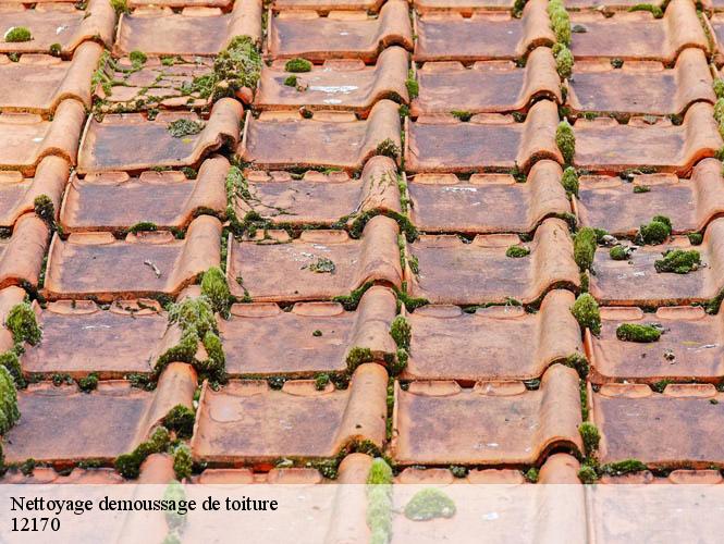 Nettoyage demoussage de toiture  ledergues-12170 WS couverture