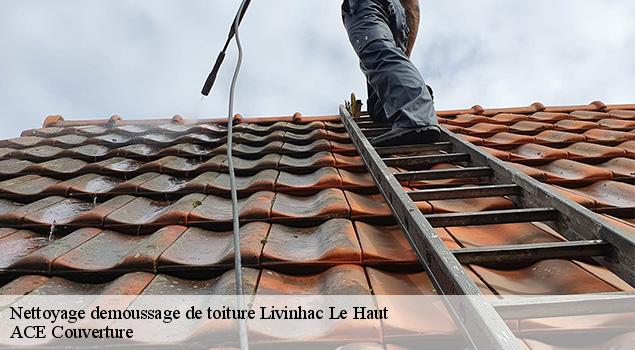 Nettoyage demoussage de toiture livinhac-le-haut-12300 ACE Couverture