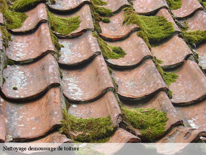 Nettoyage demoussage de toiture  montbazens-12220 WS couverture
