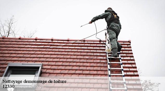 Nettoyage demoussage de toiture  muret-le-chateau-12330 ACE Couverture 