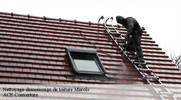 Nettoyage demoussage de toiture murols-12600 ACE Couverture