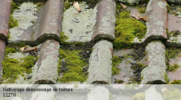 Nettoyage demoussage de toiture  najac-12270 ACE Couverture 