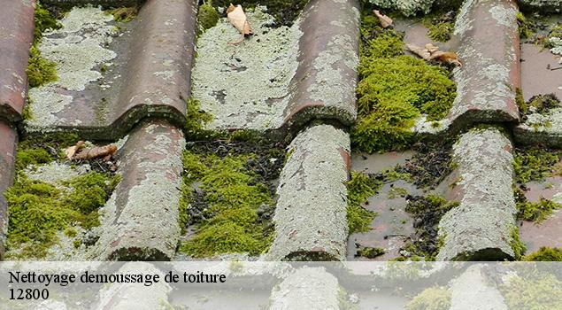 Nettoyage demoussage de toiture  naucelle-12800 ACE Couverture 