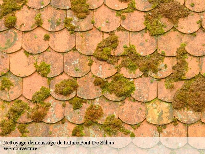 Nettoyage demoussage de toiture  pont-de-salars-12290 WS couverture