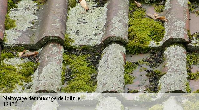 Nettoyage demoussage de toiture prades-d-aubrac-12470 John Toiture Couvreur 12
