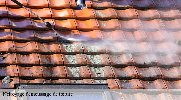 Nettoyage demoussage de toiture privezac-12350 ACE Couverture
