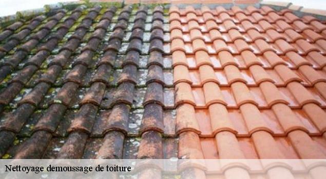 Nettoyage demoussage de toiture  pruines-12320 John Toiture Couvreur 12