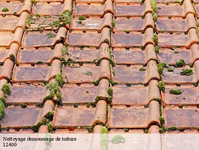 Nettoyage demoussage de toiture  rebourguil-12400 WS couverture
