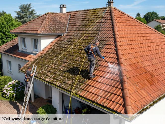 Nettoyage demoussage de toiture  rebourguil-12400 WS couverture