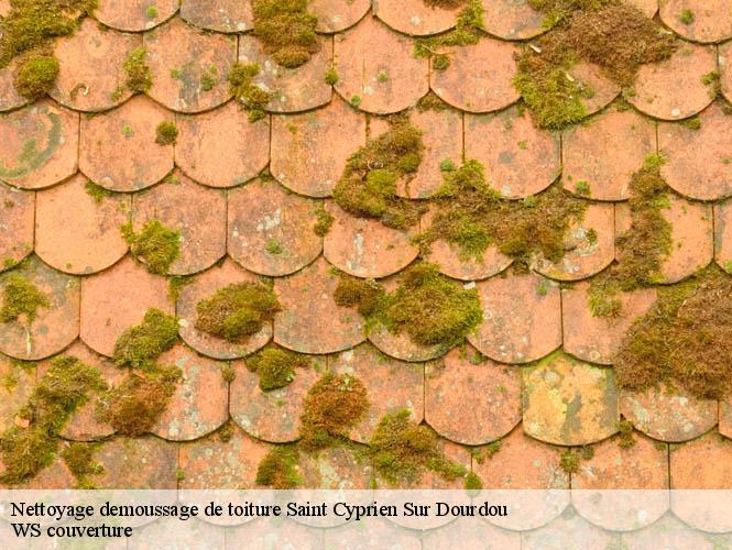 Nettoyage demoussage de toiture  saint-cyprien-sur-dourdou-12320 WS couverture