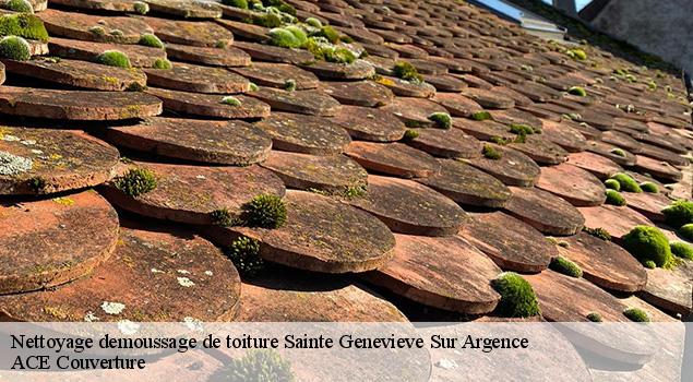 Nettoyage demoussage de toiture  sainte-genevieve-sur-argence-12420 ACE Couverture 