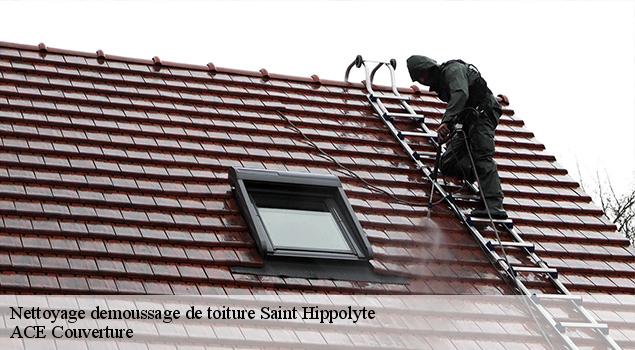 Nettoyage demoussage de toiture  saint-hippolyte-12140 ACE Couverture 