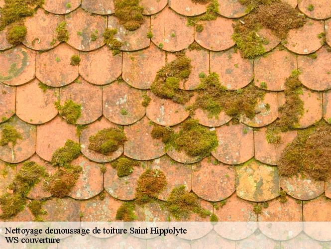 Nettoyage demoussage de toiture  saint-hippolyte-12140 WS couverture