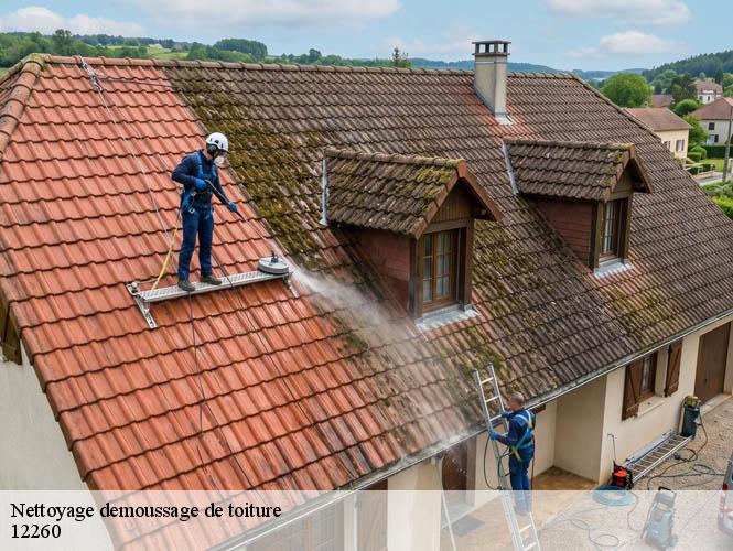 Nettoyage demoussage de toiture  saint-igest-12260 WS couverture