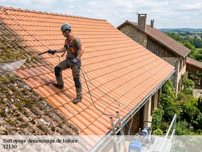 Nettoyage demoussage de toiture  saint-martin-de-lenne-12130 WS couverture